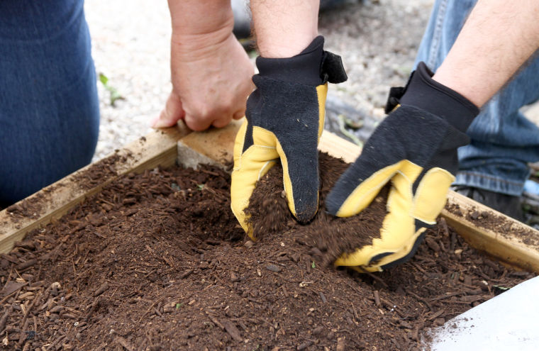 Garden beds at the Soup Kitchen